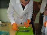 лабораторна робота з водної токсикології у Немішаєвському ДАК, 2016