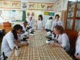 Студенти-гуртківці проводять паразитологічні дослідження