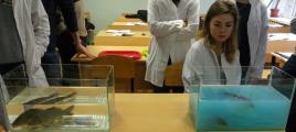 лабораторна робота з водної токсикології у Немішаєвському ДАК, 2016