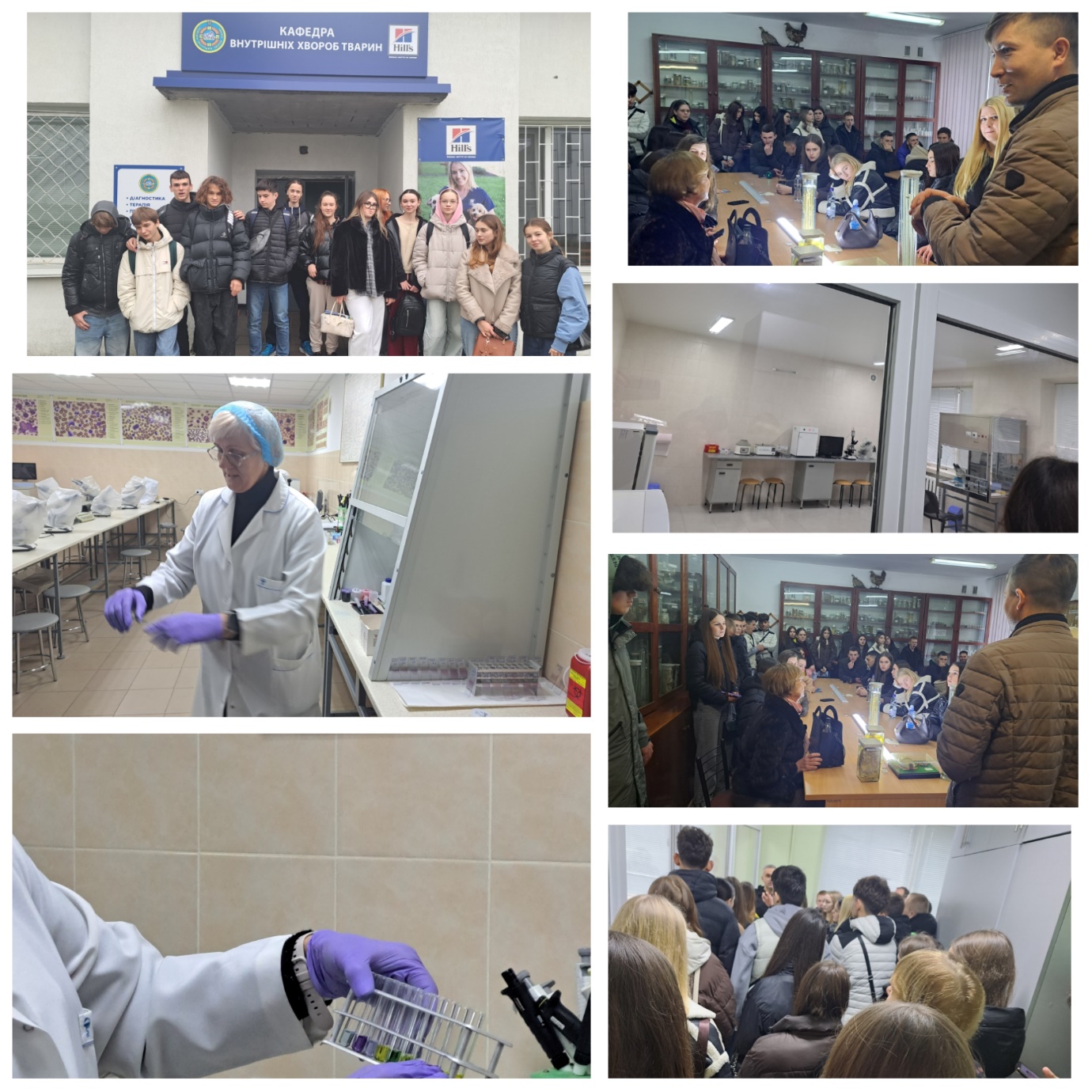 Изображение выглядит как одежда, в помещении, компьютер, человек</p>
<p>Содержимое, созданное искусственным интеллектом, может быть неверным.