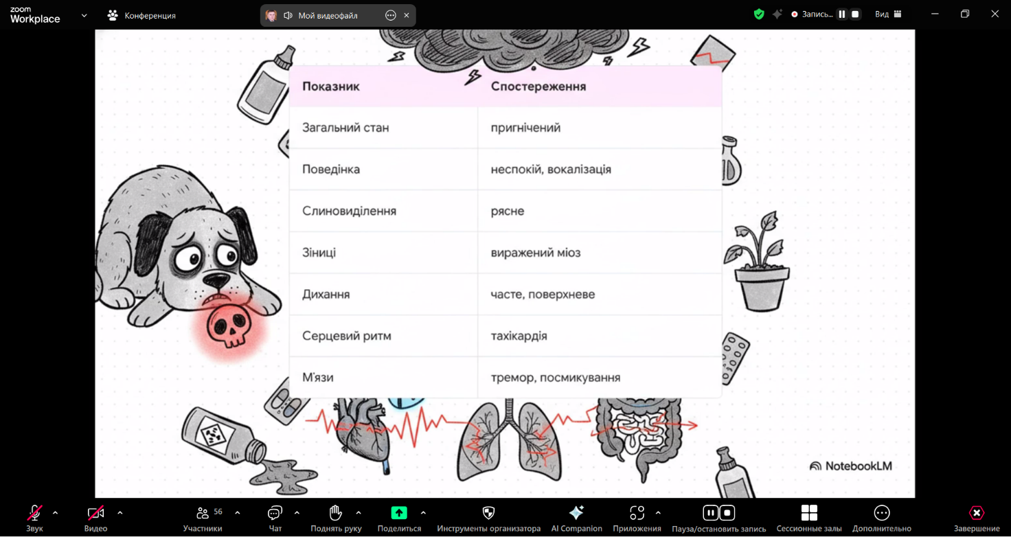 Зображення, що містить текст, знімок екрана, програмне забезпечення, Мультимедійне програмне забезпечення</p>
<p>Вміст на основі ШІ може бути неправильним.