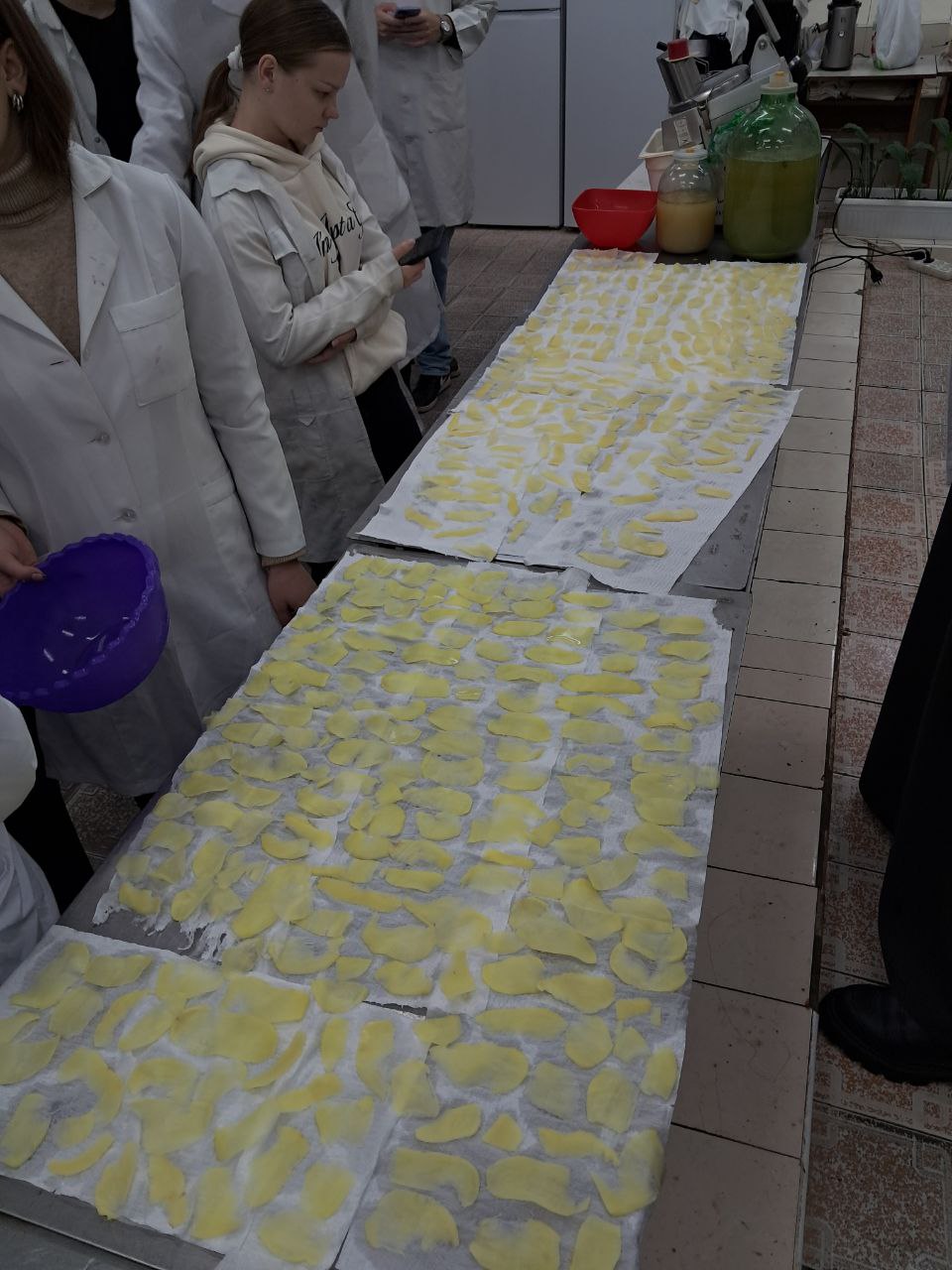 https://nubip.edu.ua/sites/default/files/inline-images/1763111282/photo_2025-11-13_21-25-36.jpg