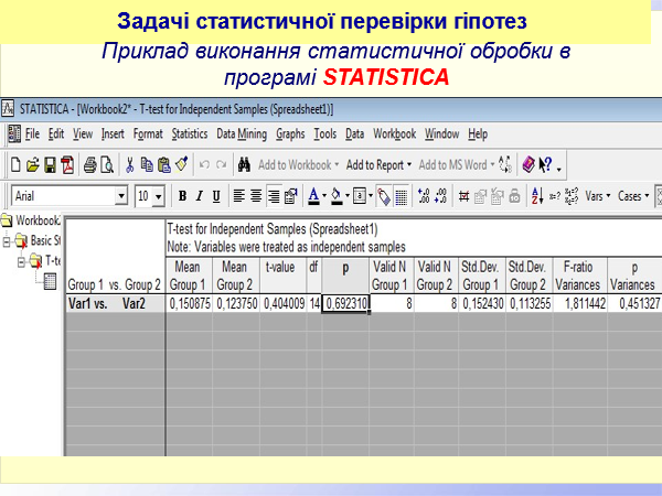 Slide 8