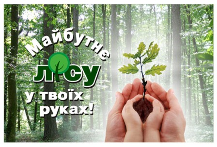 21 березня – Всесвітній день лісів – radiokor.com.ua